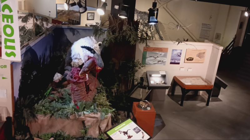 Dinosaur Journey Museum - Fruita