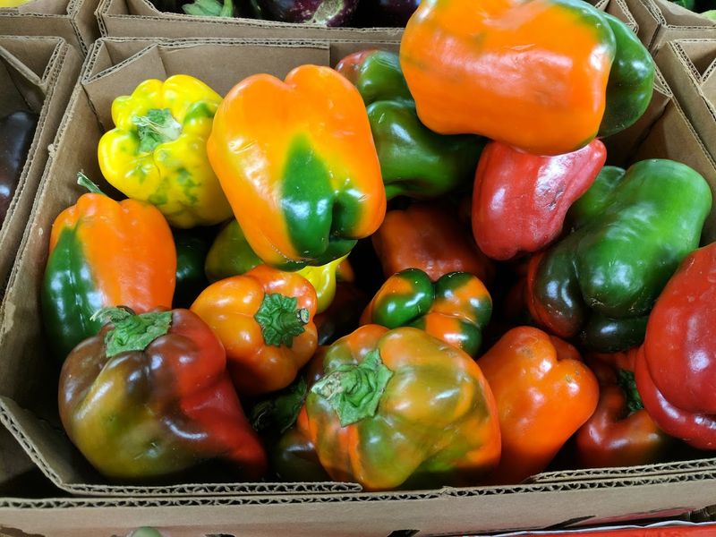 Vegetable Plants That Serious Gardeners Actually Seek Out