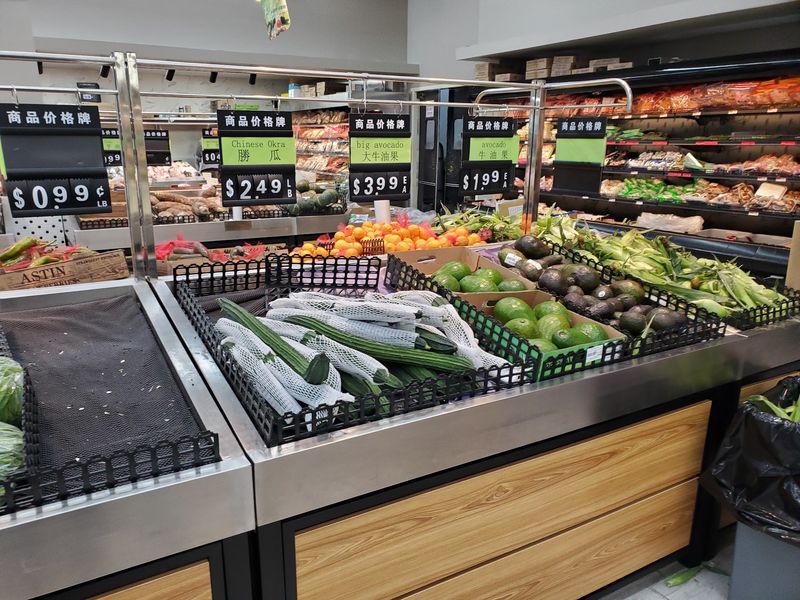 Vegetarian And Plant-Based Options Covered Well Vegetarian And Plant-Based Options Covered Well