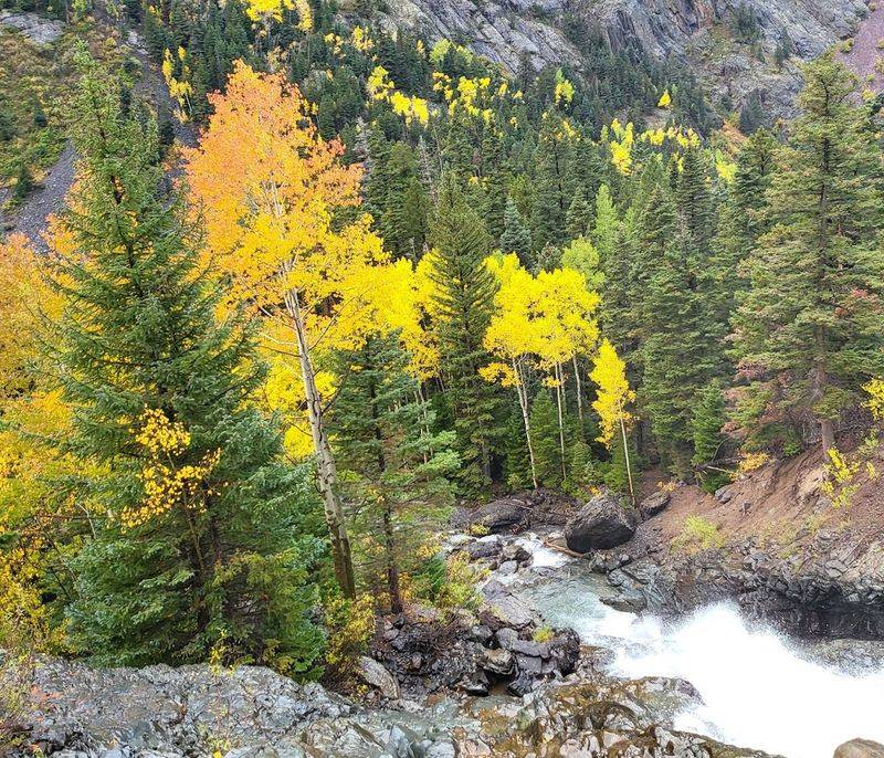 Best Time To Go: Seasons, Snow, And Timing The Loop Right