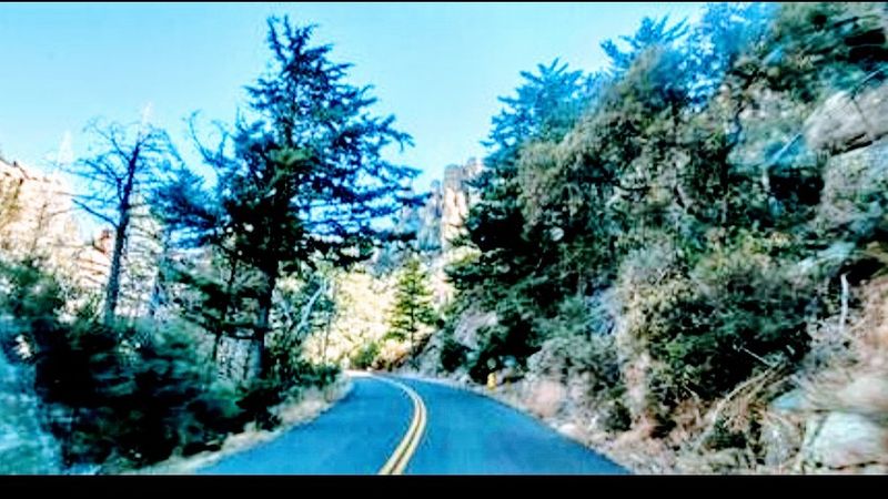 Vehicle Rules Worth Knowing Before You Go