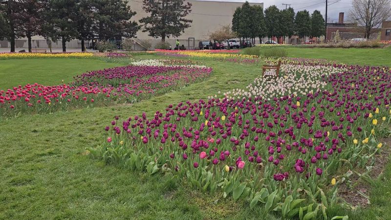 Window On The Waterfront, Holland
