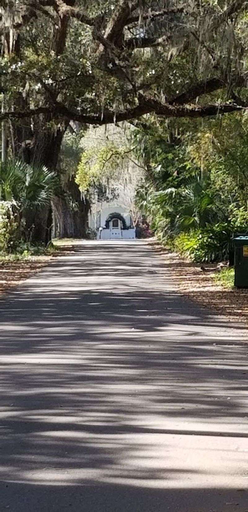 Micanopy, North Central Florida