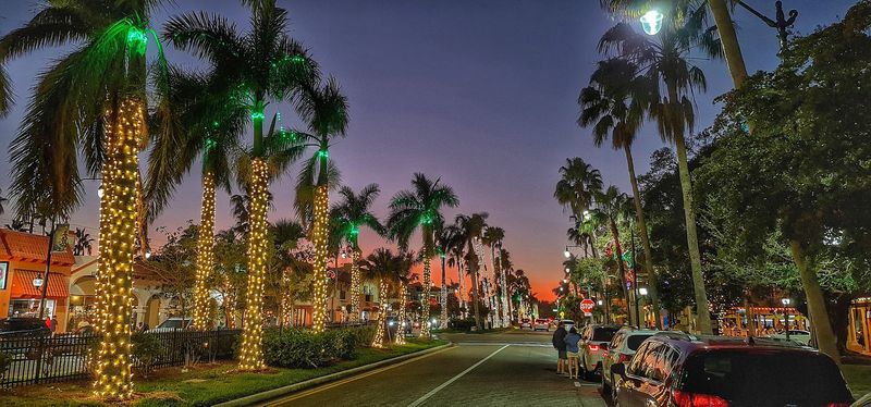 Venice, Southwest Florida