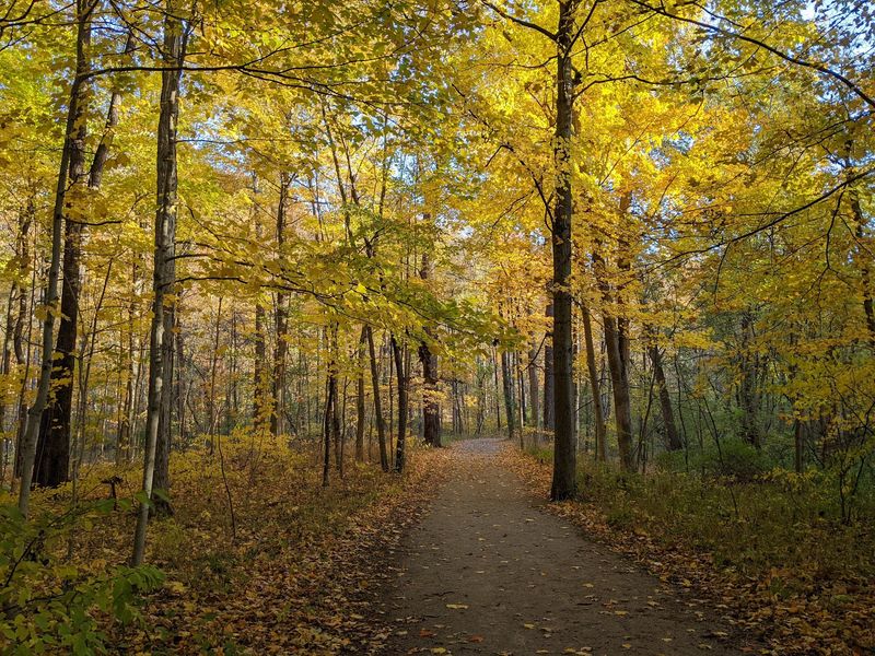 Vermilion And Vermilion River Reservation