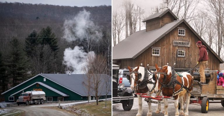 Vermont’s Maple Syrup Capital Isn’t Where You Think It Is