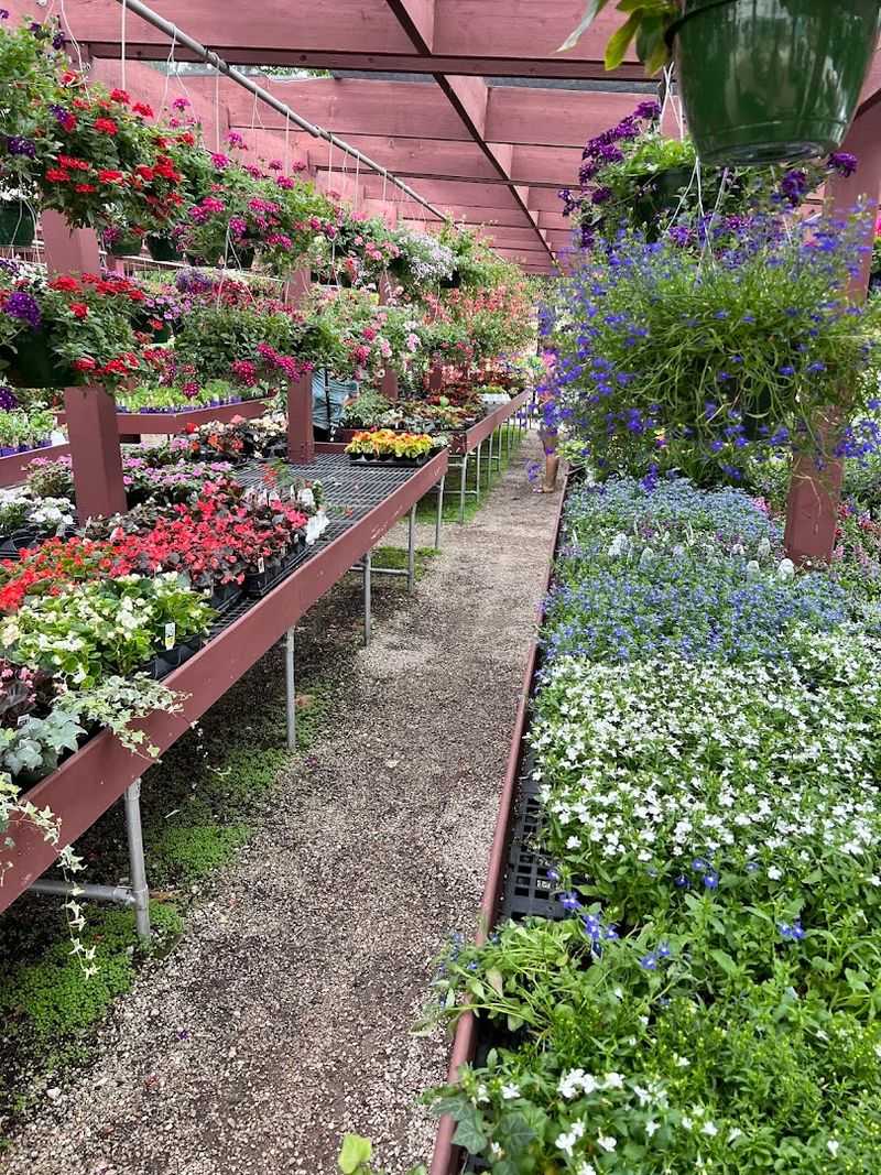 Vern Goers Greenhouse, Hinsdale Vern Goers Greenhouse, Hinsdale