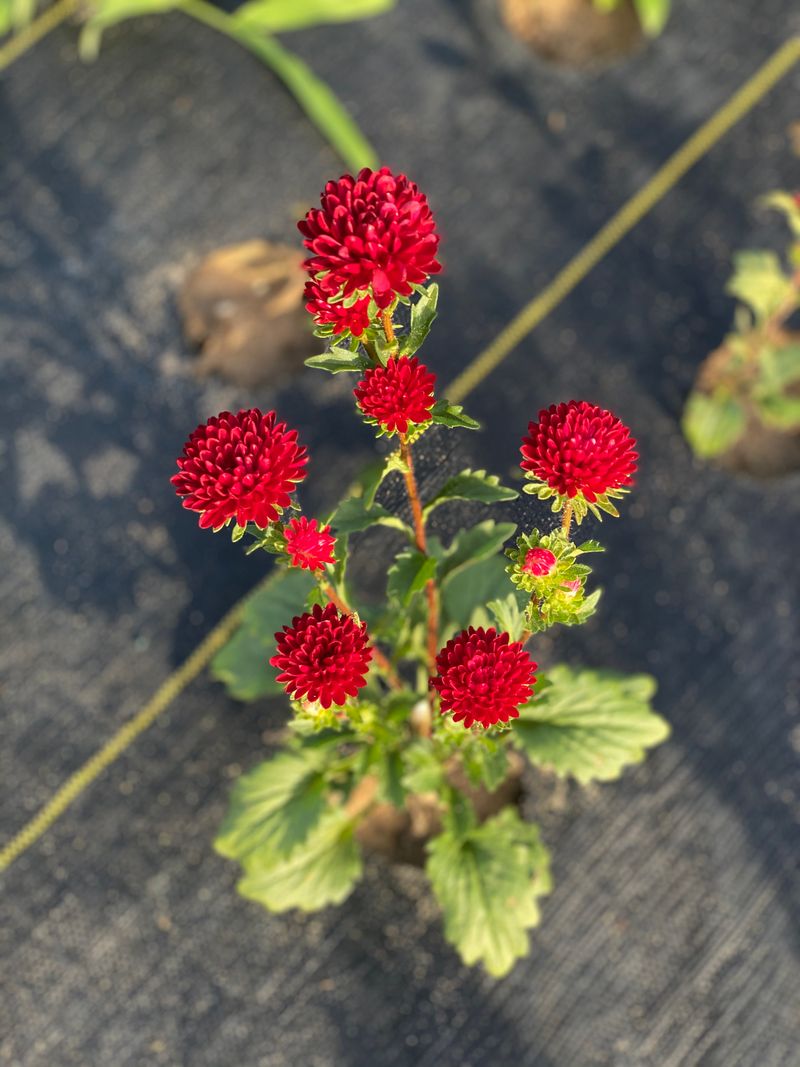 Knowledgeable And Friendly Staff