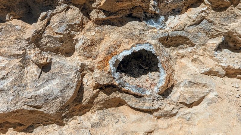 Vickers Geodes, Hamilton Vickers Geodes, Hamilton