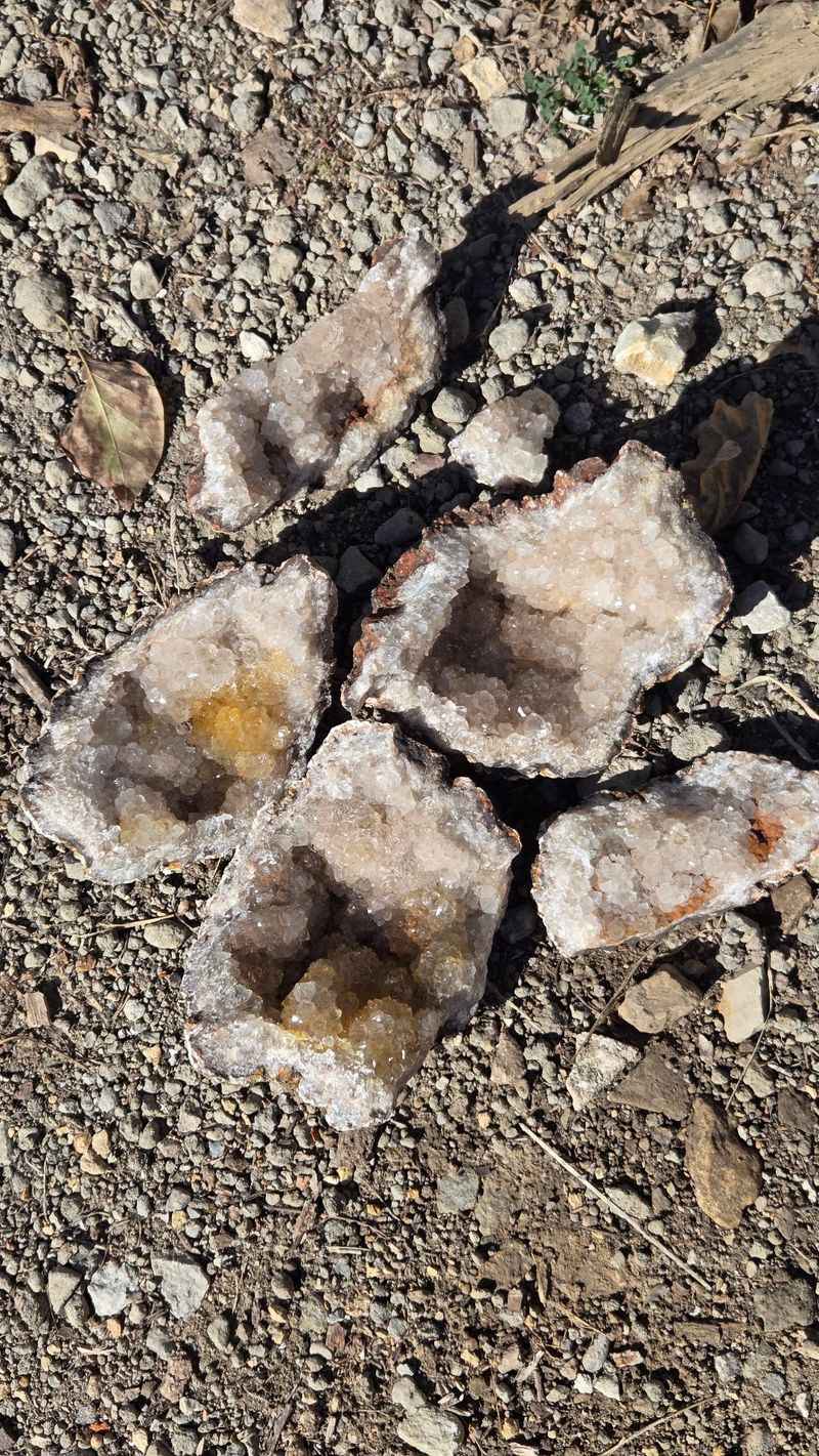 Vickers geode, Hamilton, IL
