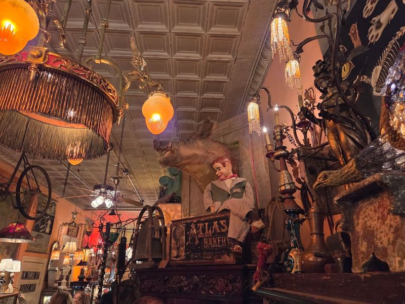 Oddities and Curiosities That Defy Expectation