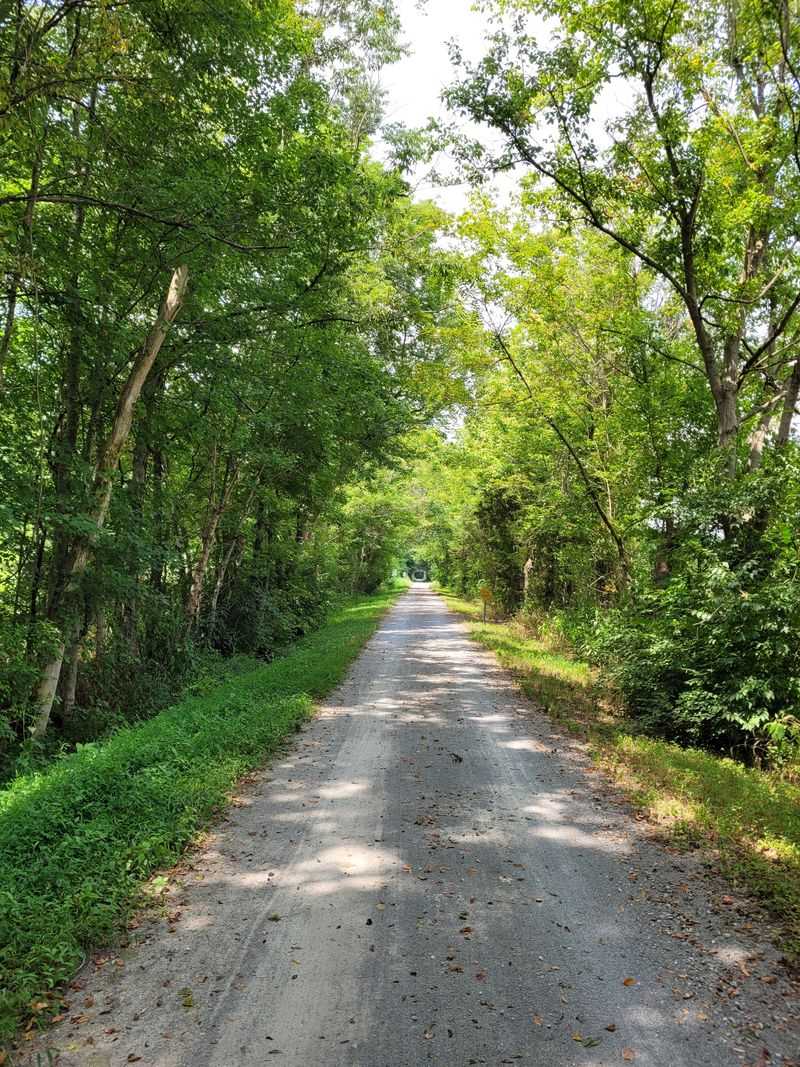 Seasons paint the trail in shifting moods