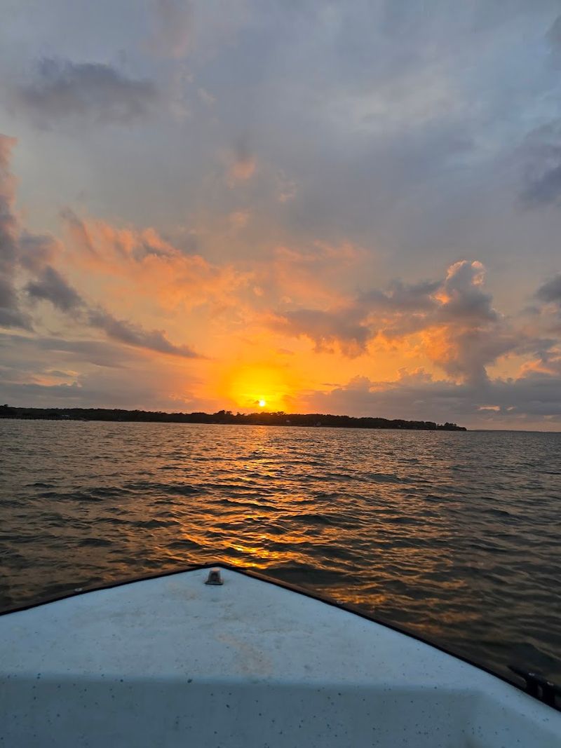 Viewing Only From Boats At Safe Distance Viewing Only From Boats At Safe Distance