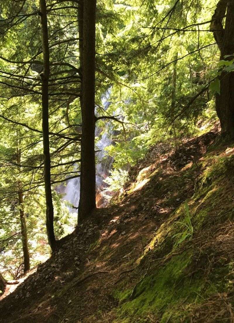 Leave No Trace, Lasting Joy