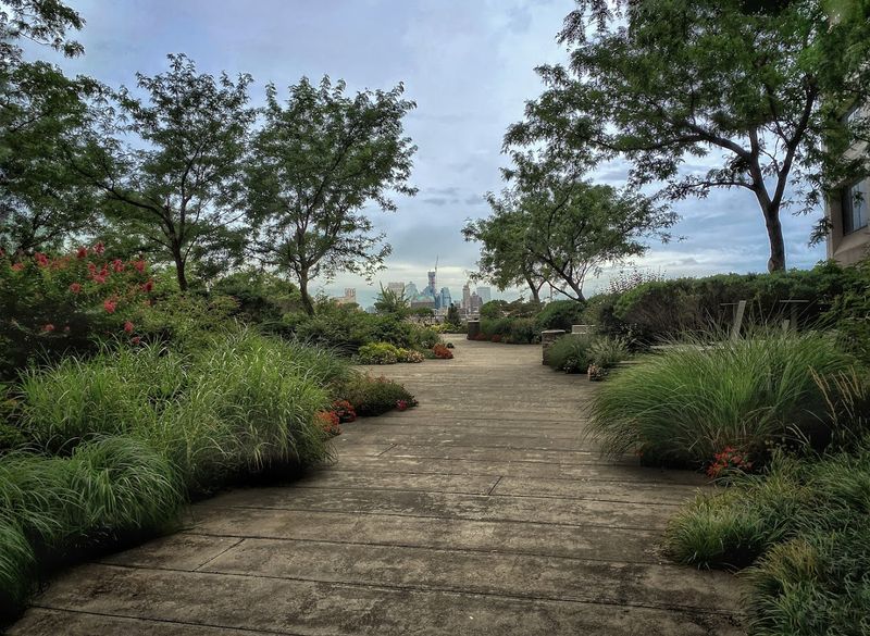 Brazilian Hardwood Paths And The Art Of Slowing Down