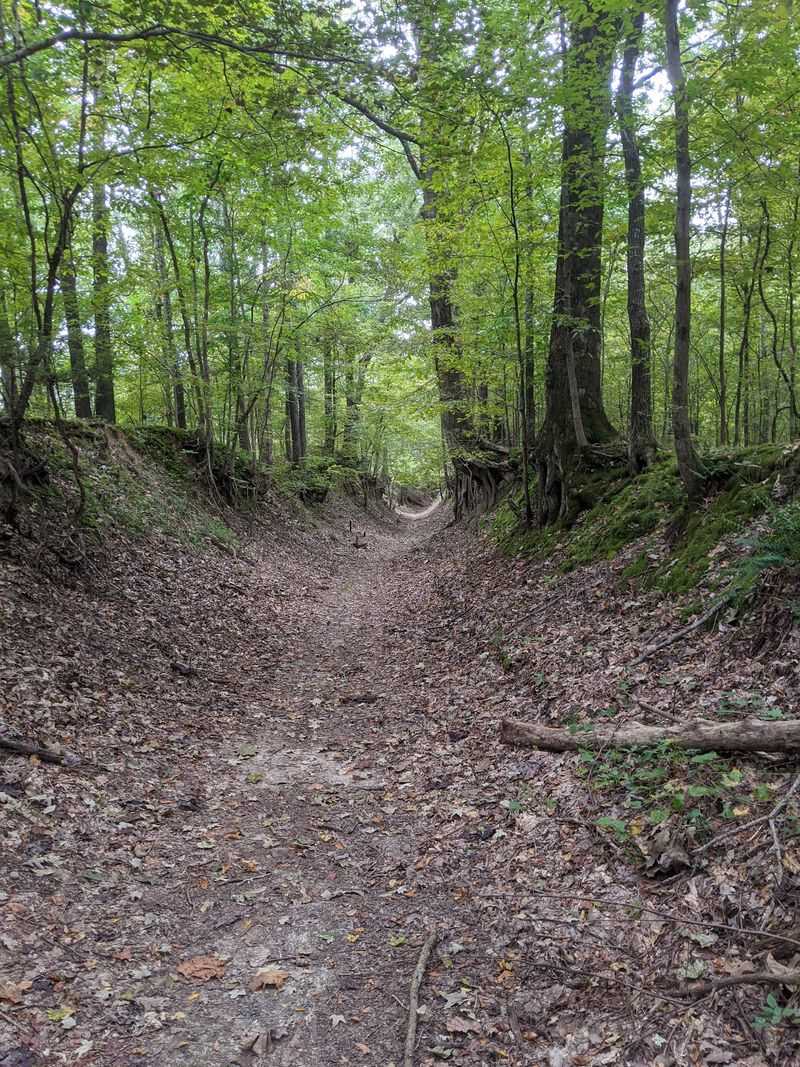Village Creek State Park, Wynne