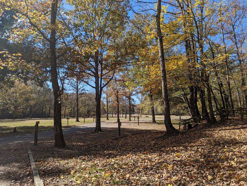 Village Creek State Park, Wynne