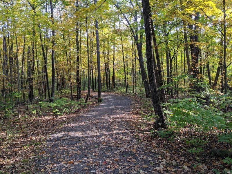 William O’Brien State Park River Trail Loop