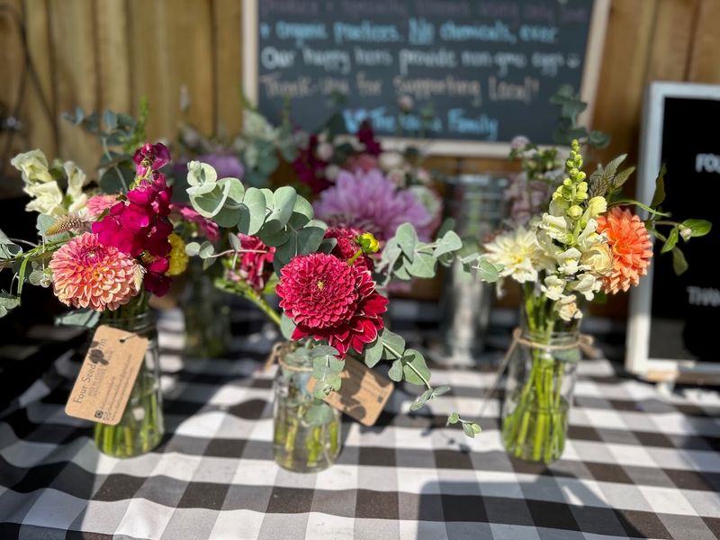 Four Seeds Farm, Manchester