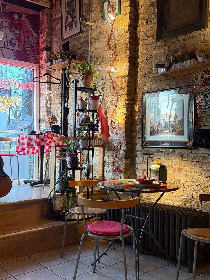 Vintage Murals And A Cat Named Marie Curie