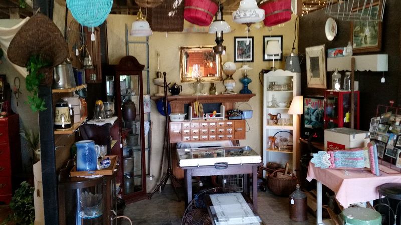 Records, Books, And All the Printed Ephemera You Can Handle