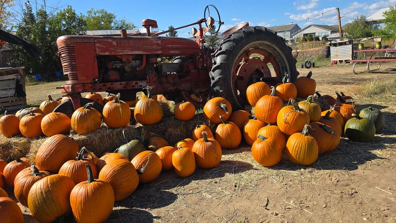 Seasonal Events That Give You a Reason to Come Back