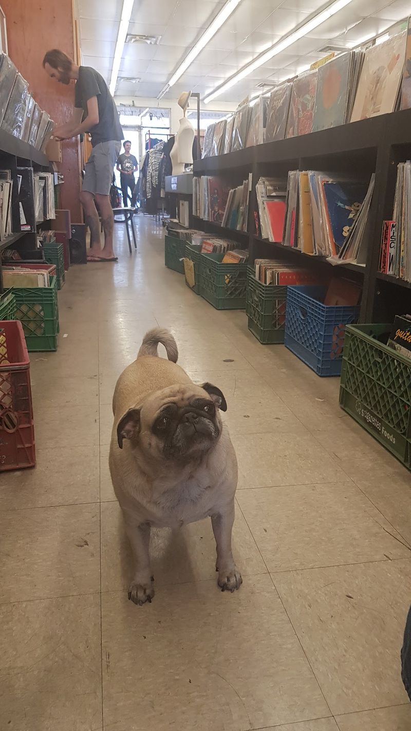 Vintage Vibes, Friendly Pups, and Old-School Charm