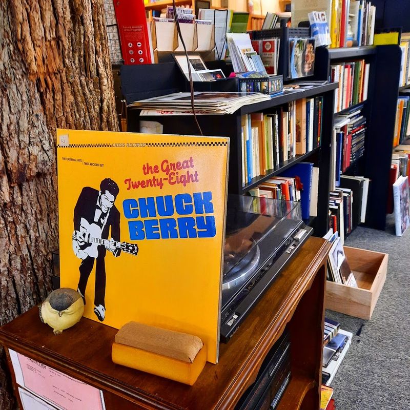 Vinyl Records Alongside The Books Vinyl Records Alongside The Books