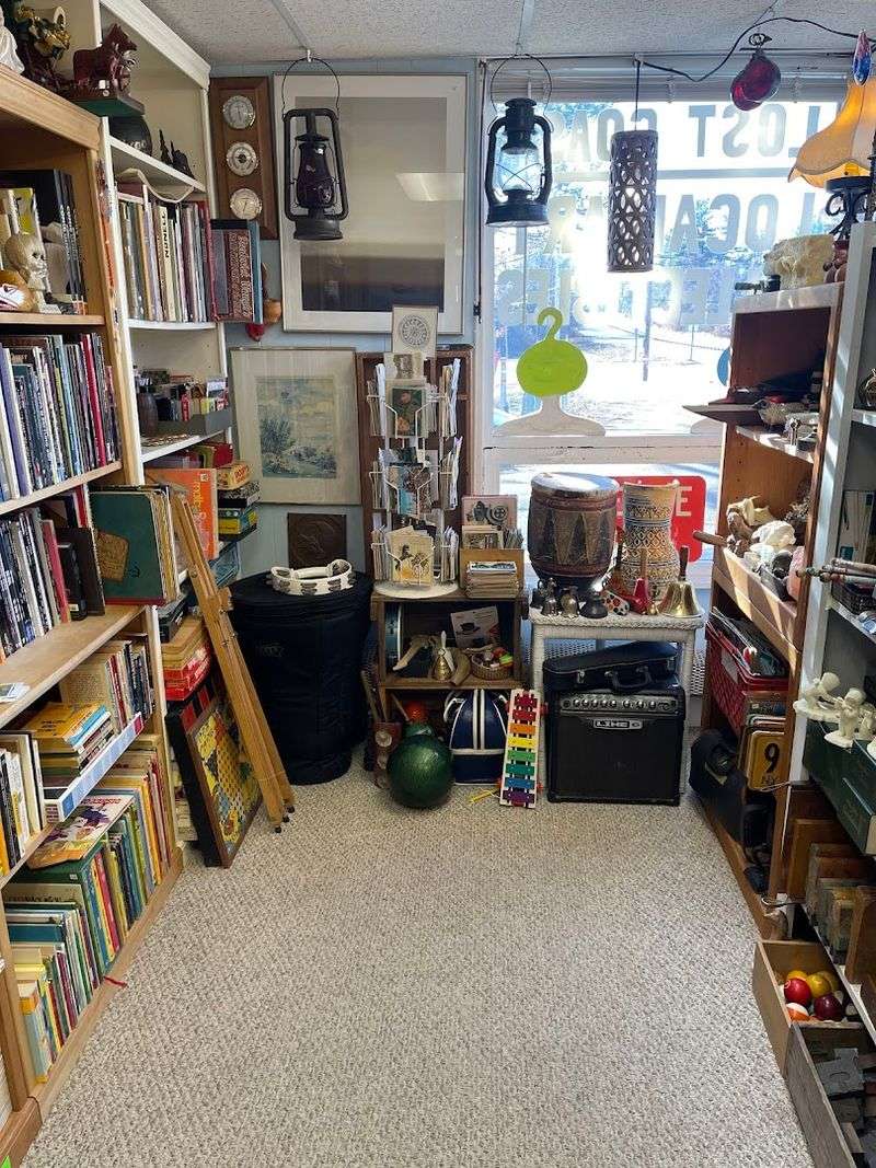 Vinyl Records And Oddities For Every Taste