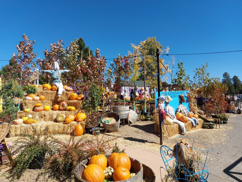 Viola's Flower Garden, Flagstaff, AZ Viola's Flower Garden, Flagstaff, AZ