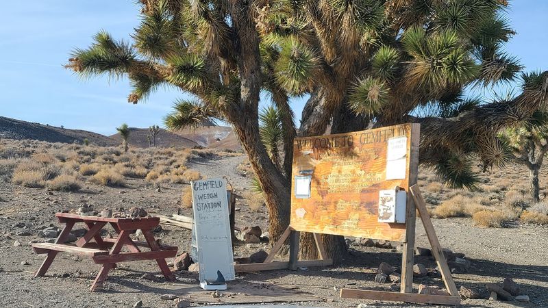 Gemfield Near Goldfield