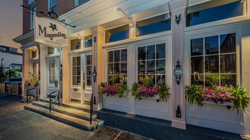 Magnolias: Lowcountry Pioneer