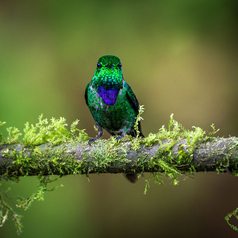 Take a Wildlife Photography Tour