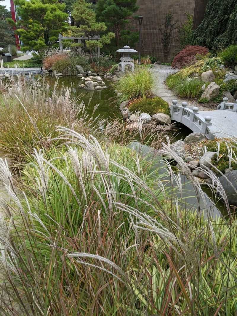 Accept The Garden's Small Scale