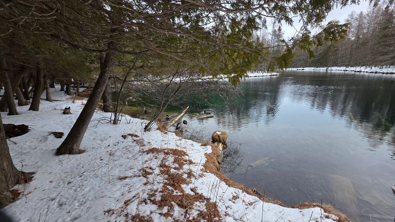 Navigate The Line With Grace