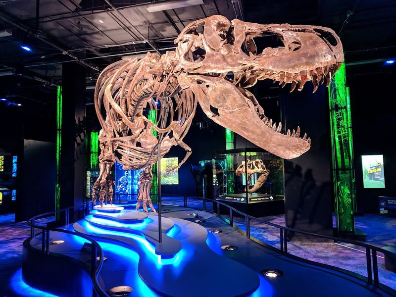 Visit The Arizona Science Center For A Hands-On Indoor Day