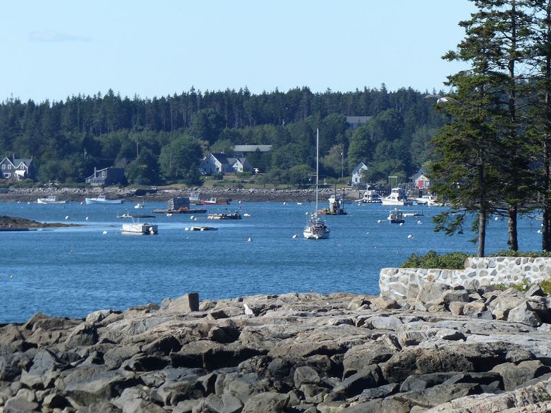 Visit When The Harbor Slows Down