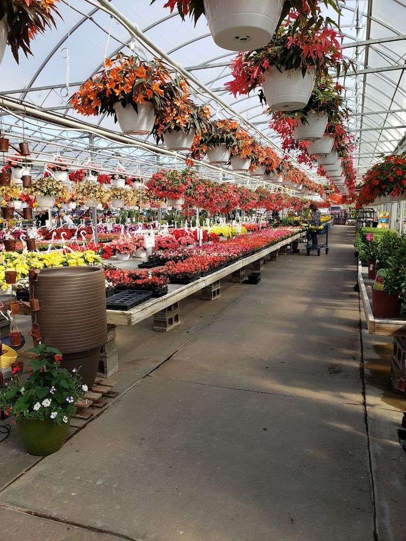 Visit With The Seasons In Mind