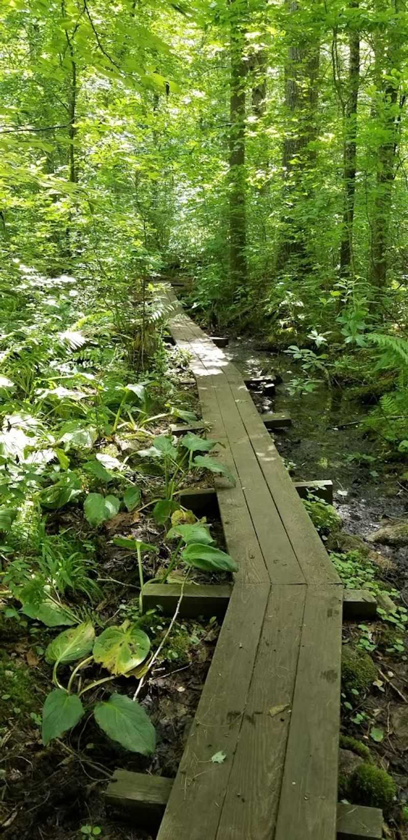 Look Down, Not Just Out