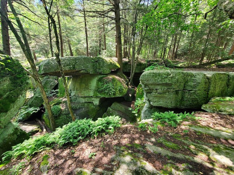 A Landmark Rated 4.8 Stars by Hundreds of Visitors