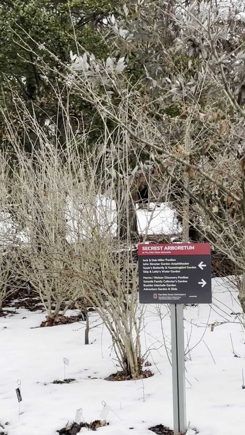 Visiting In Winter: A Different Kind Of Beautiful Visiting In Winter: A Different Kind Of Beautiful