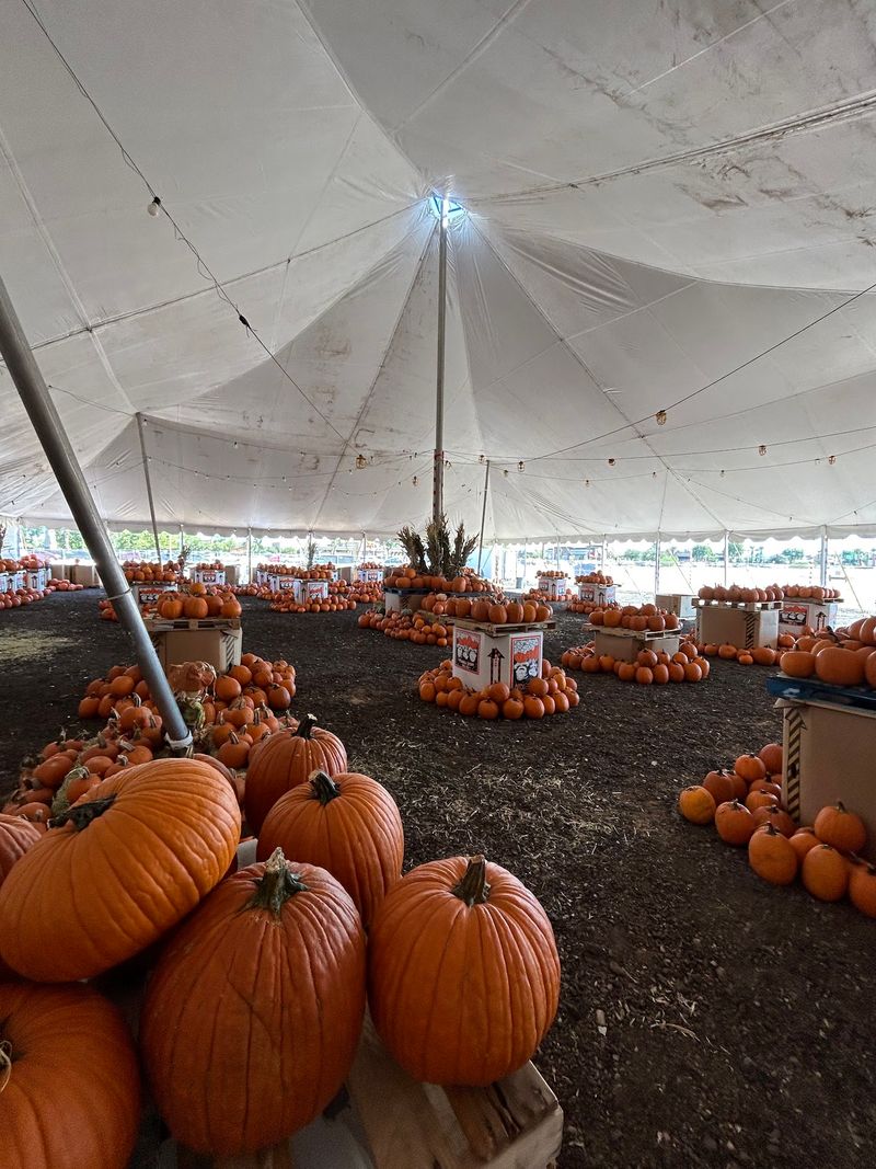 Visiting Notes: Location, Parking, and Seasonal Timing
