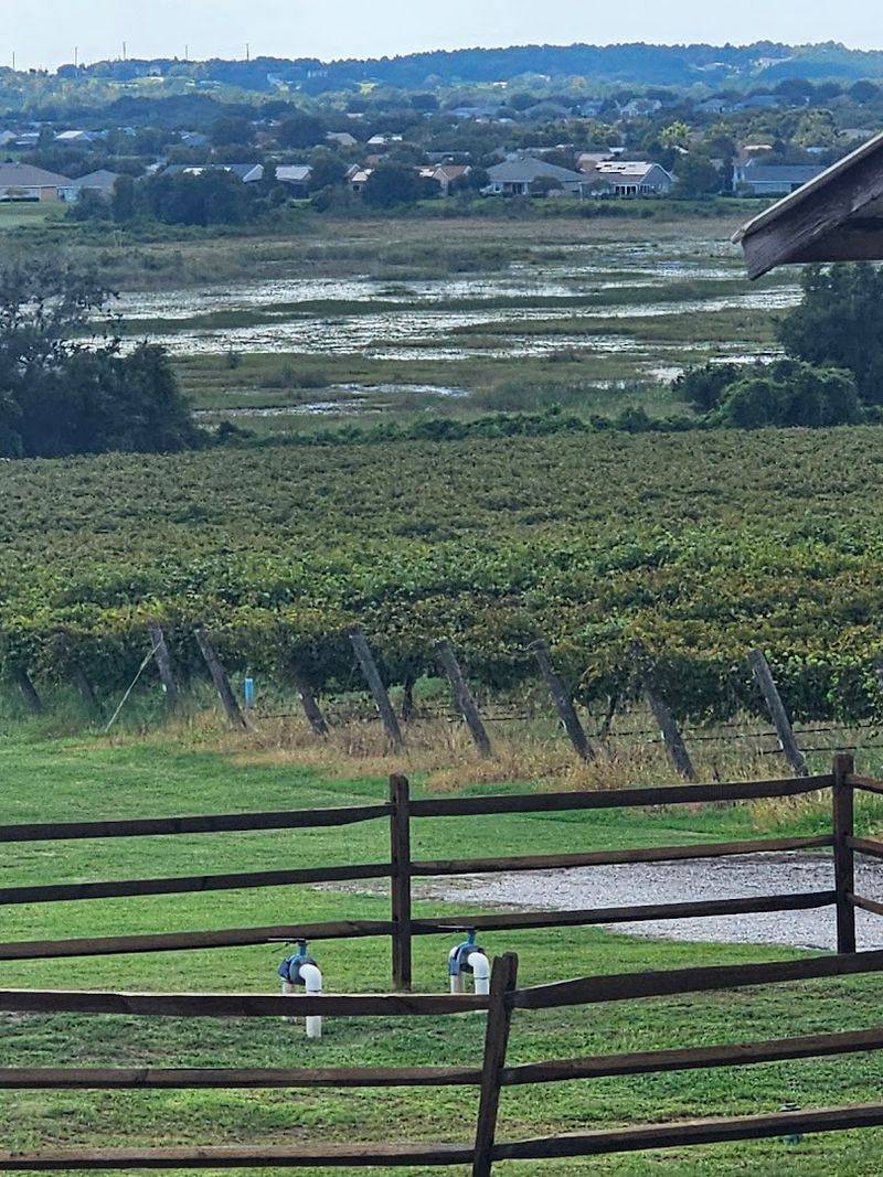 Ending The Weekend At Patton's Bluff Overlook