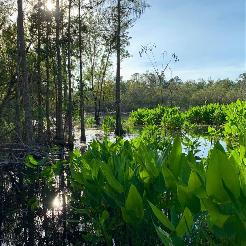 Photography Opportunities Around Every Bend