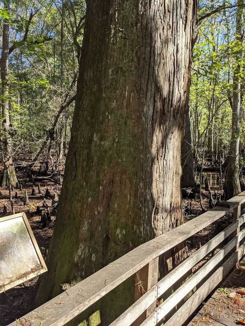 Seasonal Changes Bring Different Rewards