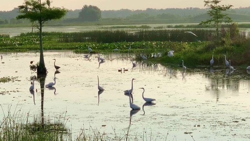 Tram Tours Reveal Hidden Hotspots