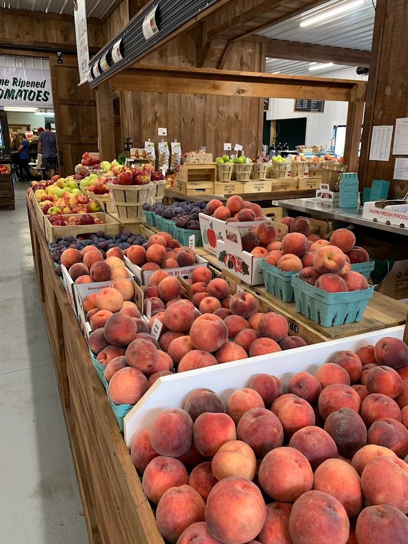 The Donuts Are Made Fresh Throughout The Day