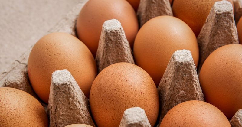 Nature's Promise Free Range Eggs