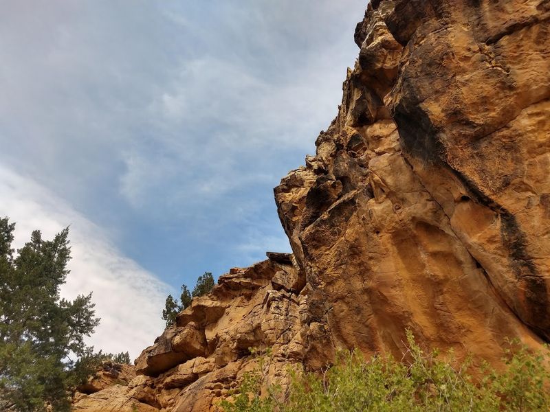 Vogel Canyon Picnic Area
