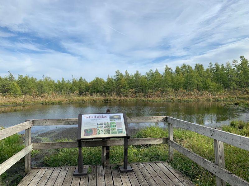 Volo Bog Interpretive Boardwalk, Ingleside